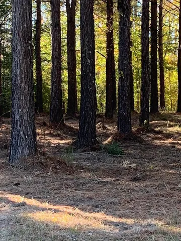 $54,900 | 242 Plumtree Circle, Edenton, NC 27932