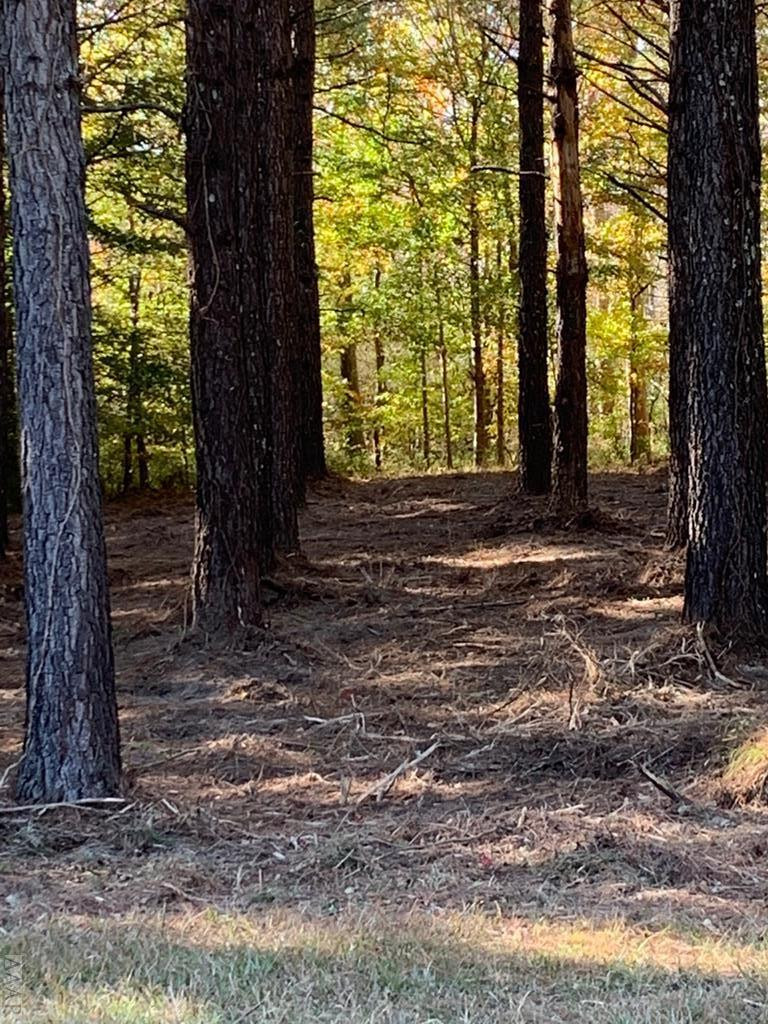 242 Plumtree Circle Edenton, NC 27932 - Photo 2 of 13