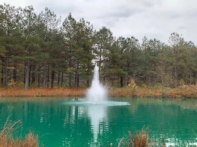 $54,900 | 242 Plumtree Circle, Edenton, NC 27932