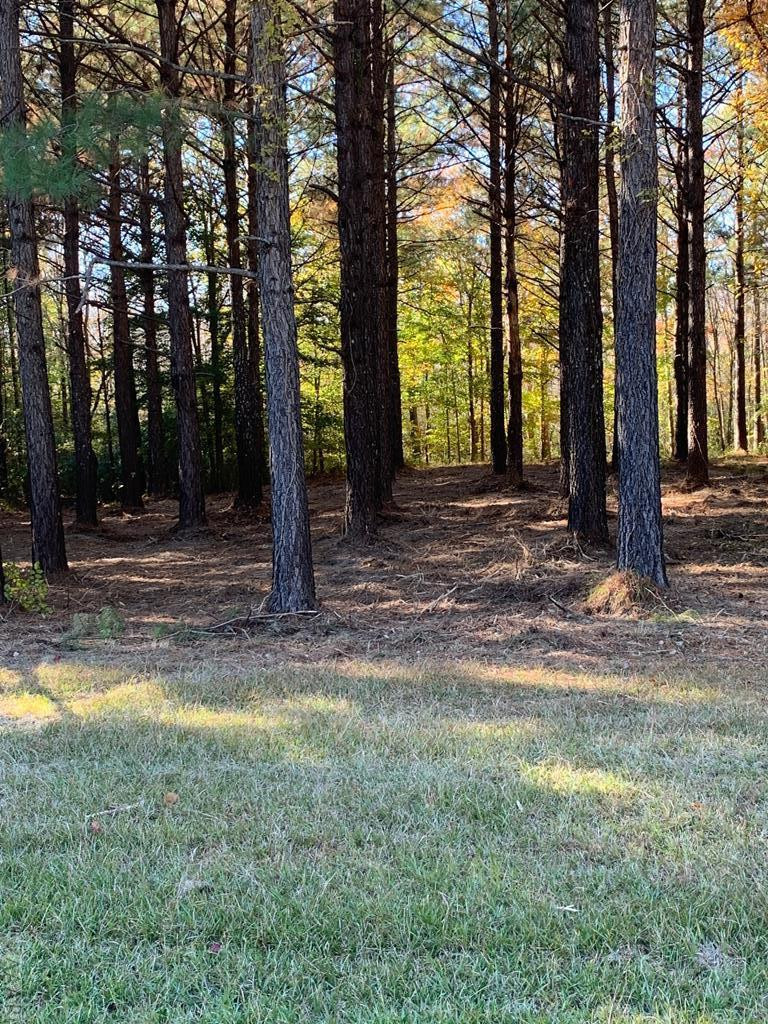 242 Plumtree Circle Edenton, NC 27932 - Photo 8 of 13