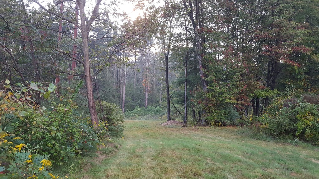 110 Stone School Road Sutton, MA 01590 - Photo 4 of 16 Gallery Image 4