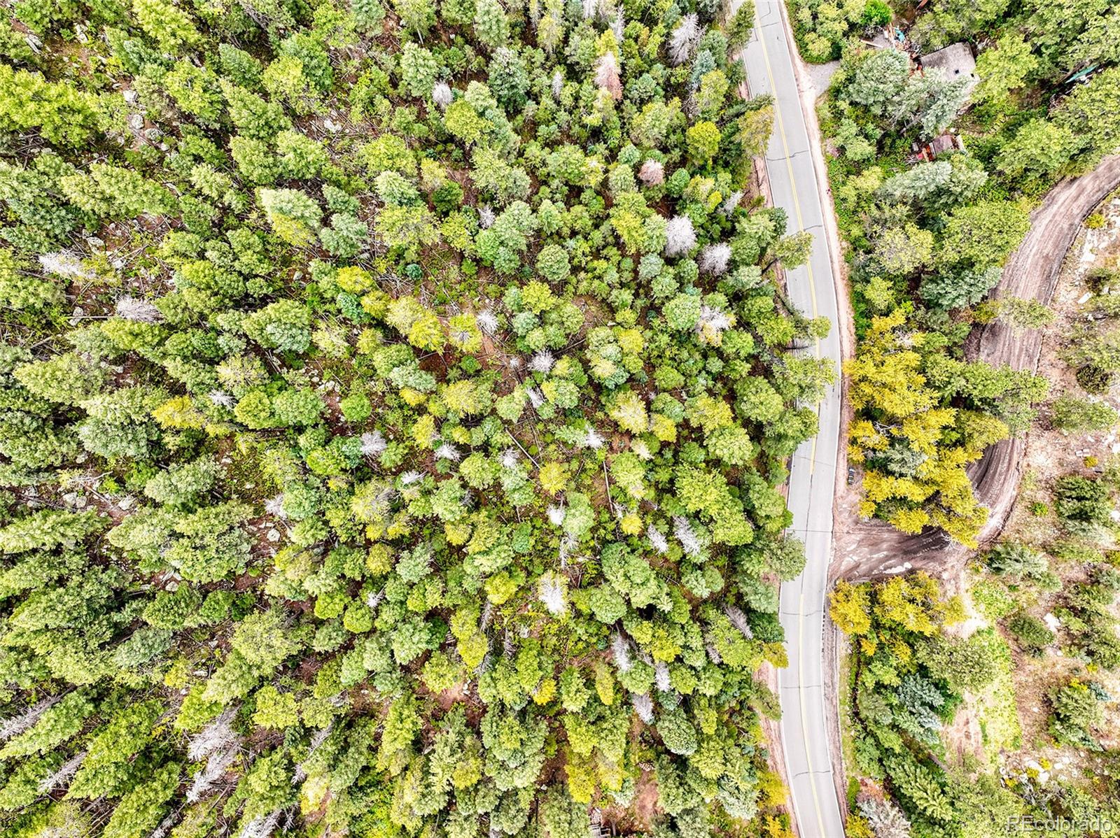 10862-10872 Twin Spruce Road Golden, CO 80403 - Photo 14 of 15 a view of a tree with a plant