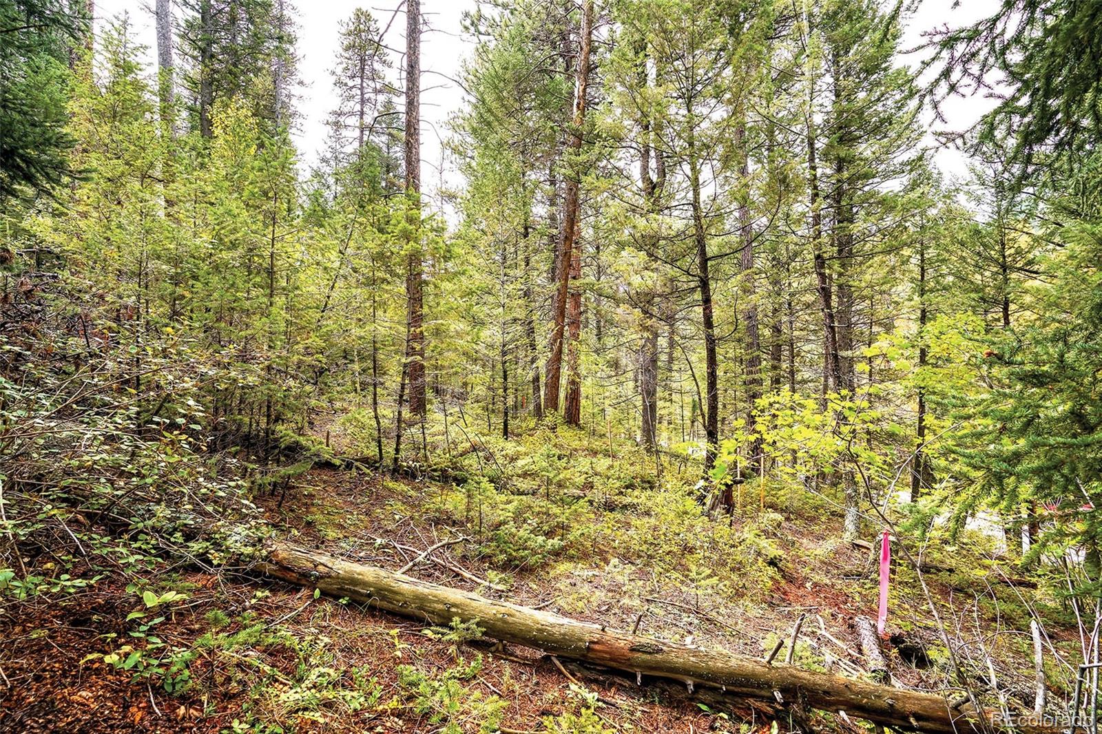 10862-10872 Twin Spruce Road Golden, CO 80403 - Photo 3 of 15