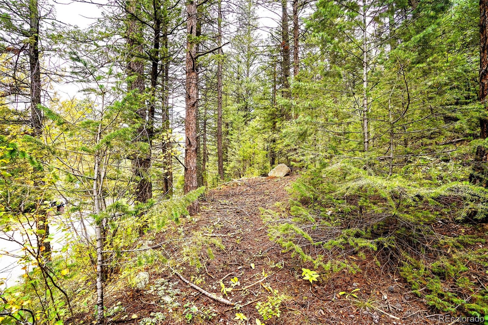 10862-10872 Twin Spruce Road Golden, CO 80403 - Photo 4 of 15 a view of a yard with a tree