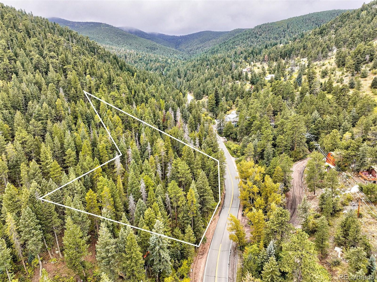 10862-10872 Twin Spruce Road Golden, CO 80403 - Photo 9 of 15 a view of a yard with a large trees