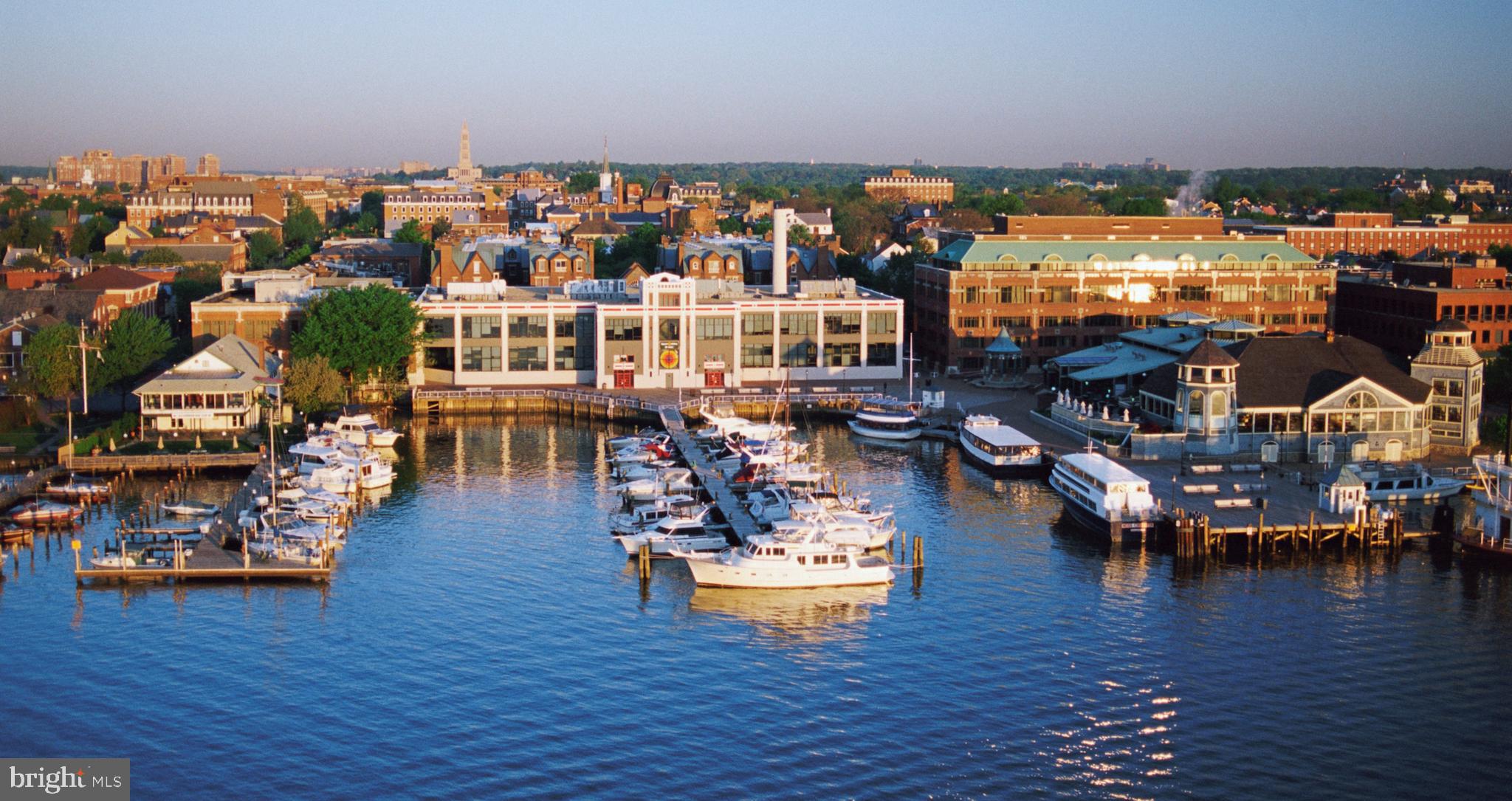 1009 First Street Alexandria, VA 22314 - Photo 29 of 31 The newly developed waterfront in Old Town