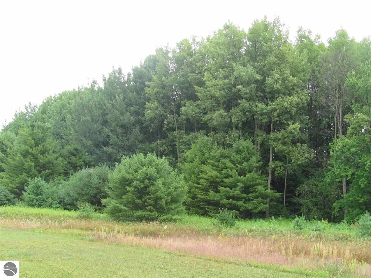 5149 Clark Road Harrisville, MI 48740 - Photo 9 of 34 1777935-8.JPG