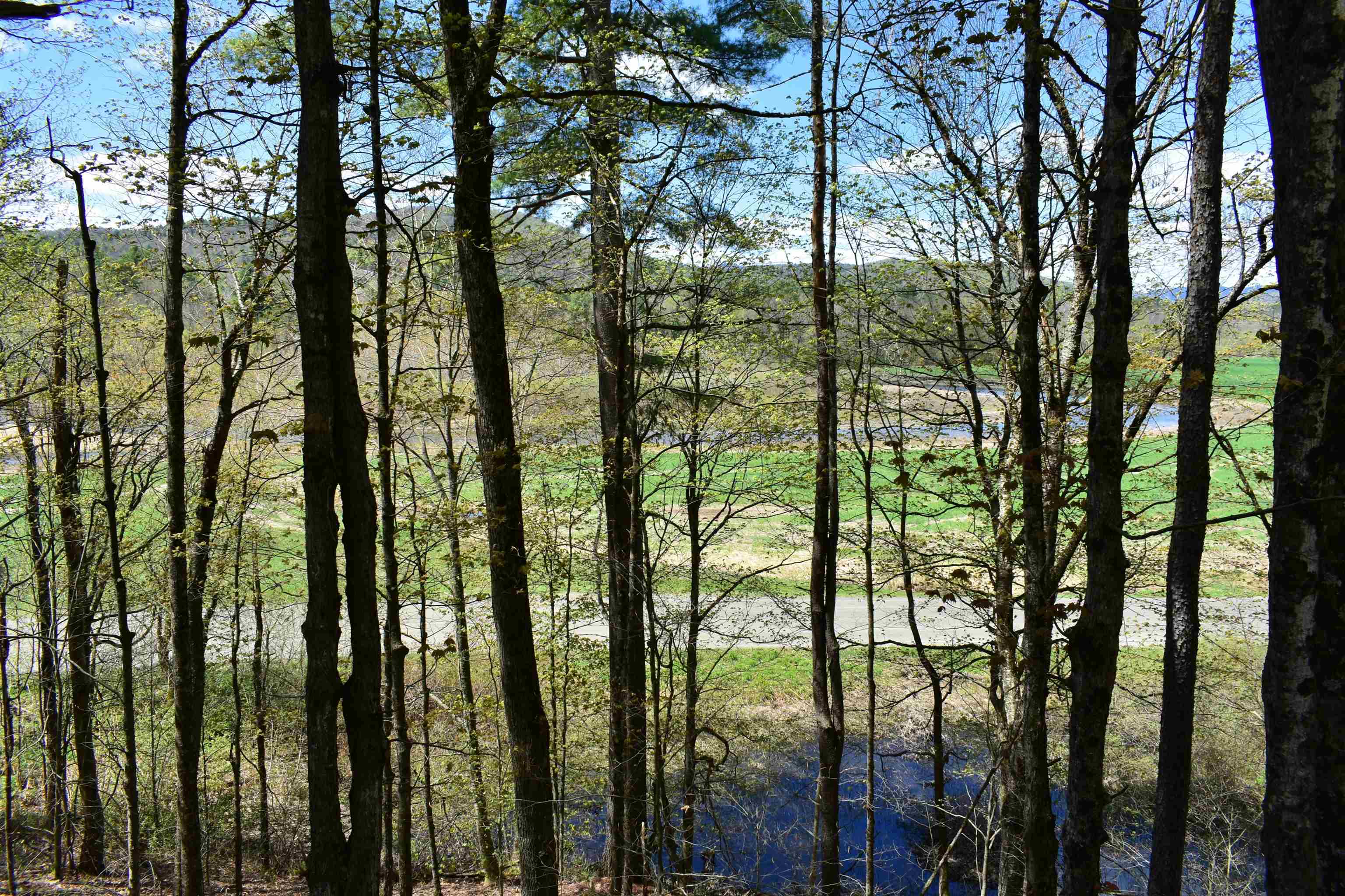 1850 Stock Farm Road, Unit 68 Randolph, VT 05060 - Photo 18 of 25