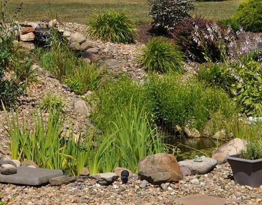 175 Hannahstown Road Butler, PA 16002 - Photo 4 of 15 Yard/Garden. Backyard waterfall feature