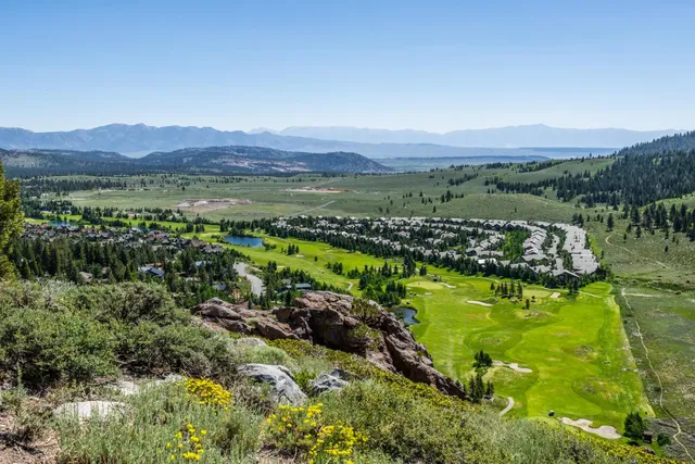 a view of a lush green hillside and houses
