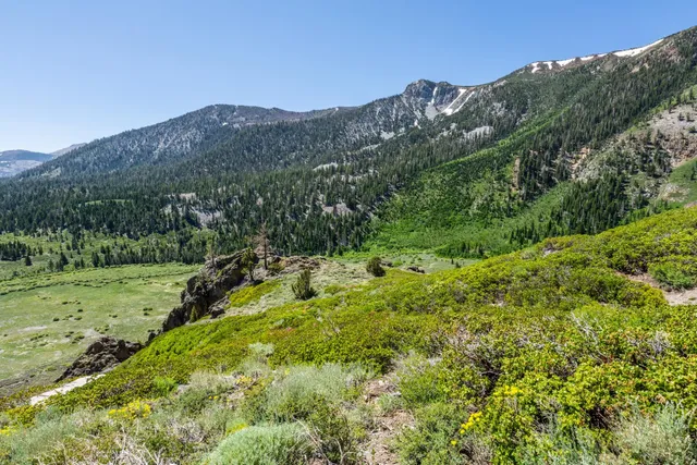 a view of a lush green hillside and a building