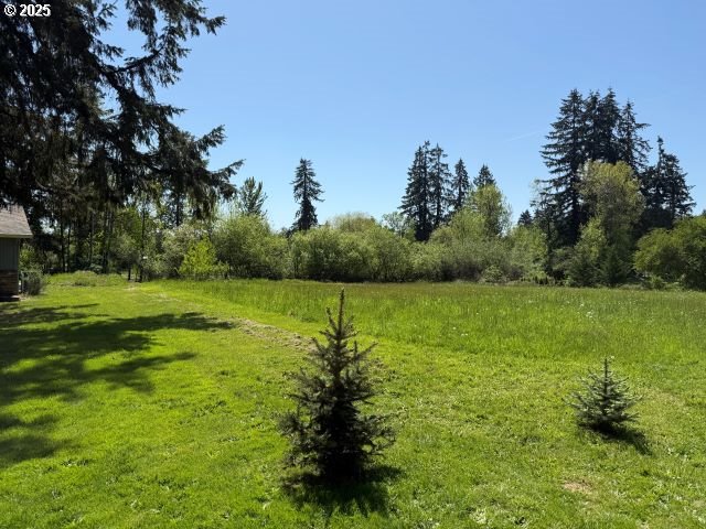 5203 Northeast 246th Street Ridgefield, WA 98642 - Photo 7 of 7 a yard with lots of green space