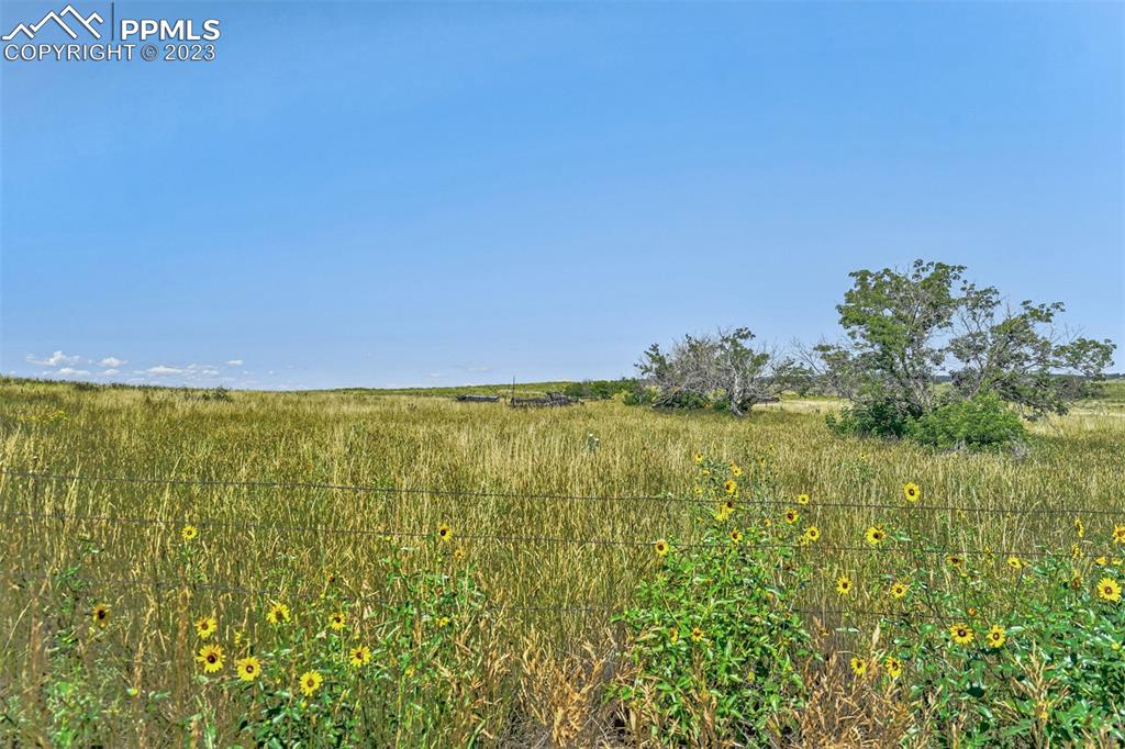 4 Lemesany Road Calhan, CO 80808 - Photo 15 of 46 a view of an ocean