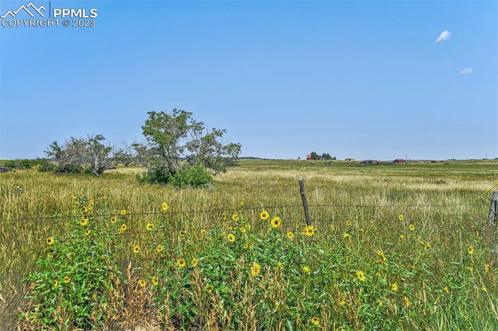 4 Lemesany Road Calhan, CO 80808 - Photo 16 of 46 a view of a lake with a big yard