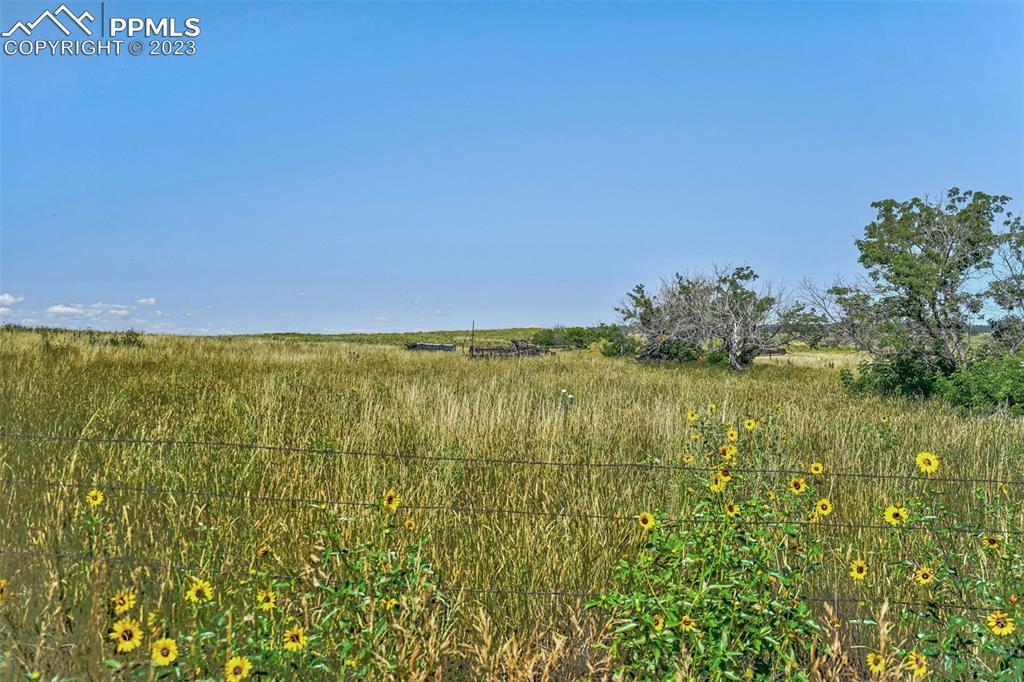 4 Lemesany Road Calhan, CO 80808 - Photo 17 of 46 a view of a lake