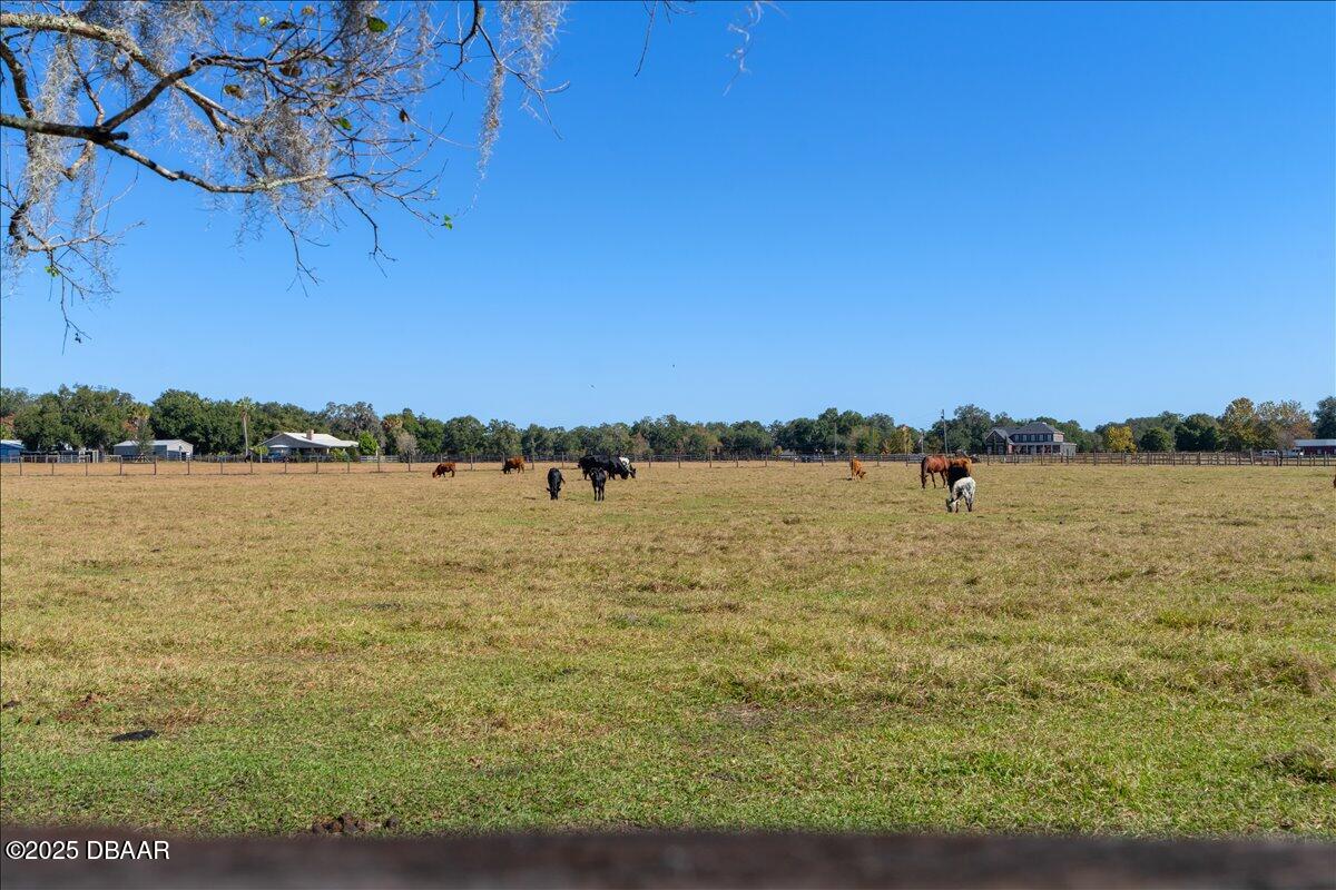 4420 Daugharty Road DeLand, FL 32724 - Photo 94 of 105 100-4420 Daugharty Rd (42 of 106)