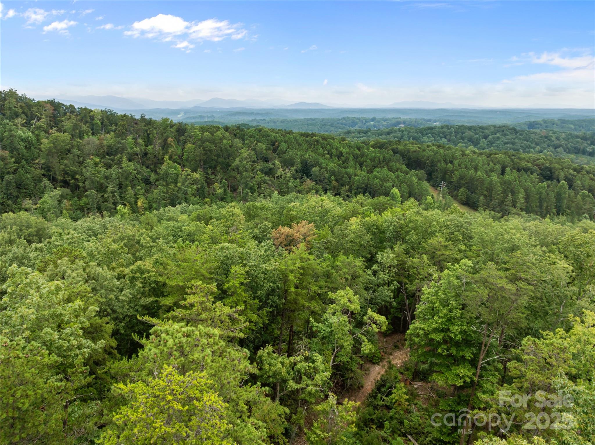 823 Silver Creek Road Mill Spring, NC 28756 - Photo 11 of 16