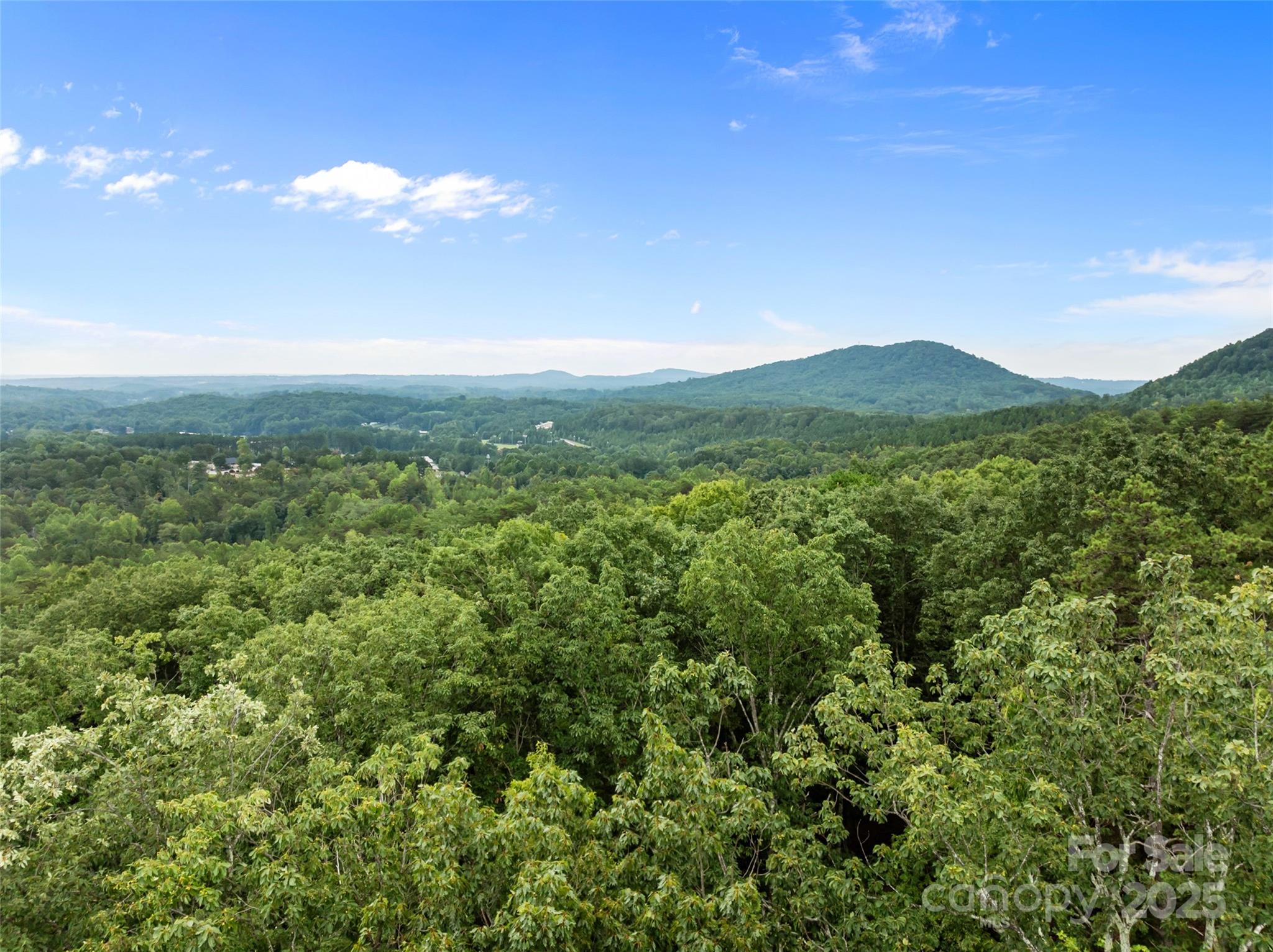 823 Silver Creek Road Mill Spring, NC 28756 - Photo 12 of 16