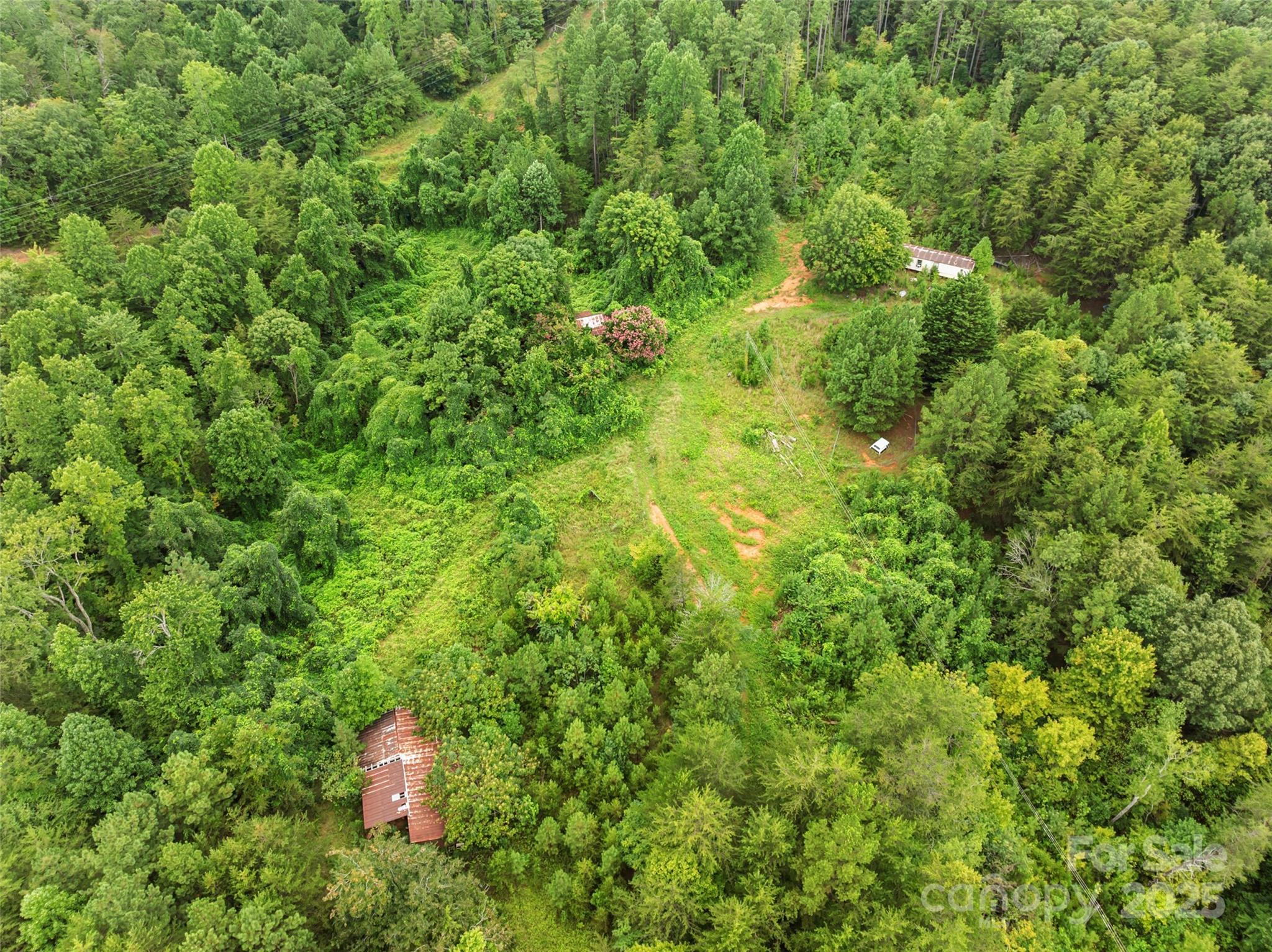 823 Silver Creek Road Mill Spring, NC 28756 - Photo 13 of 16