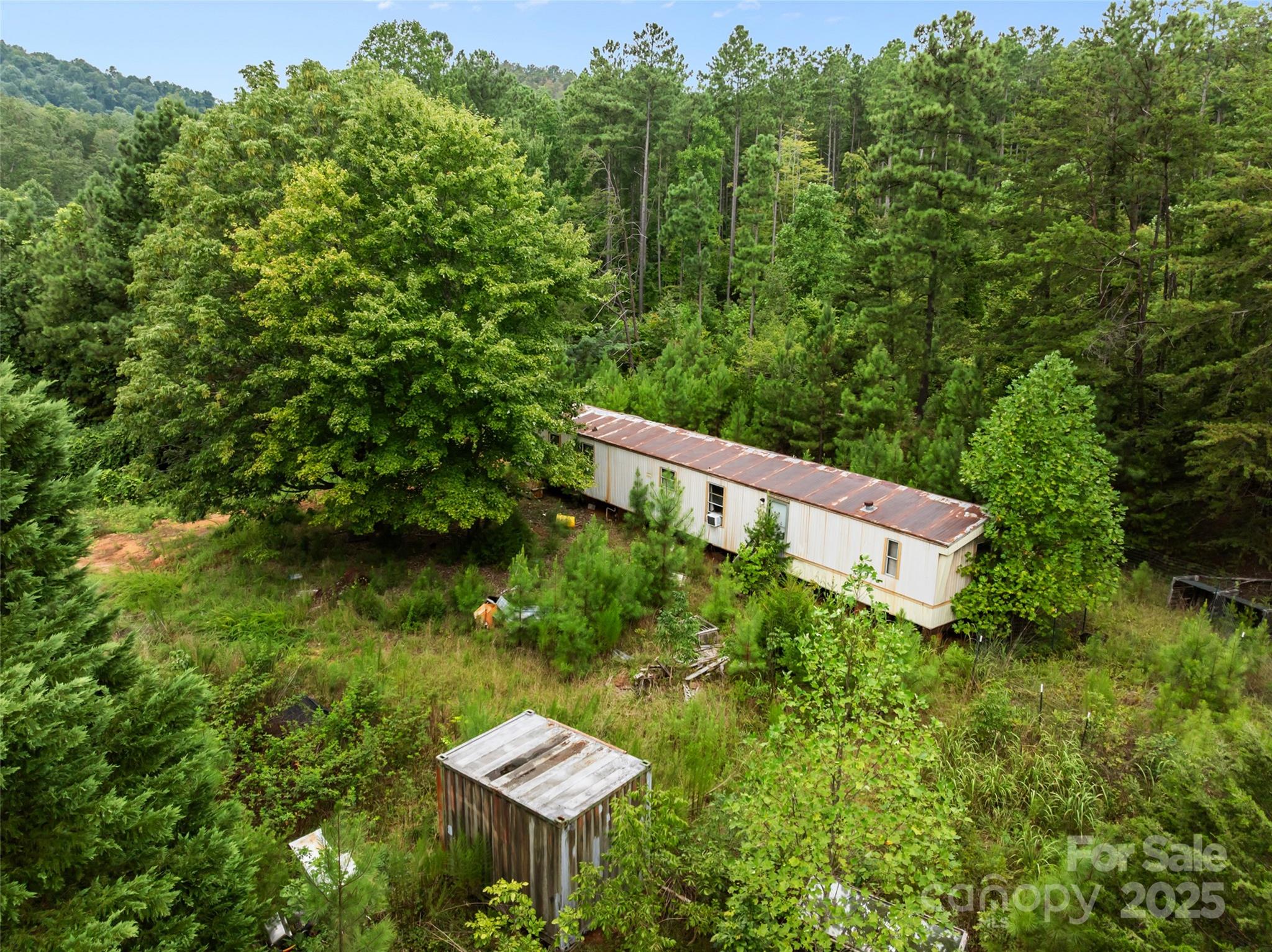 823 Silver Creek Road Mill Spring, NC 28756 - Photo 15 of 16