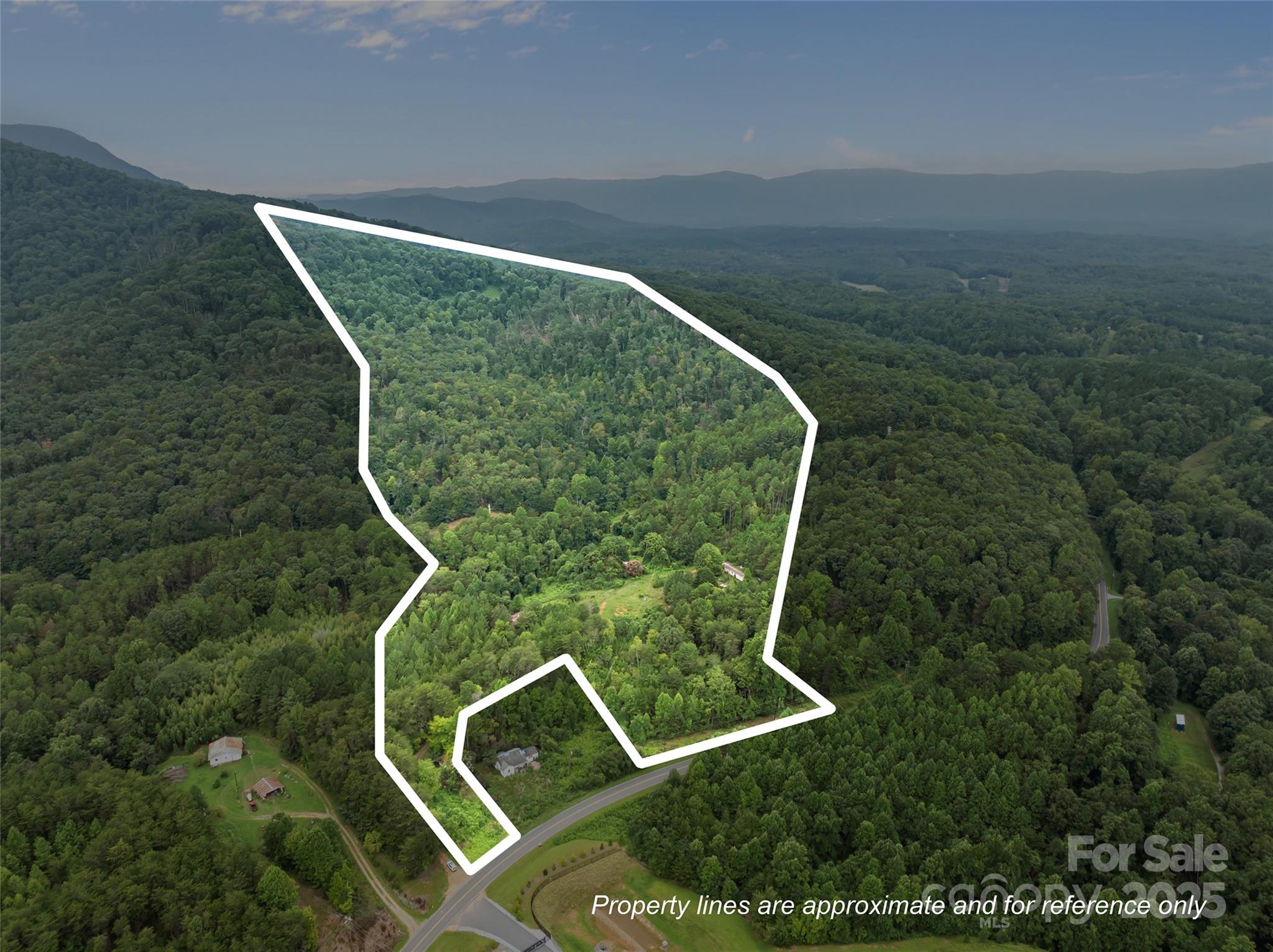 823 Silver Creek Road Mill Spring, NC 28756 - Photo 16 of 16