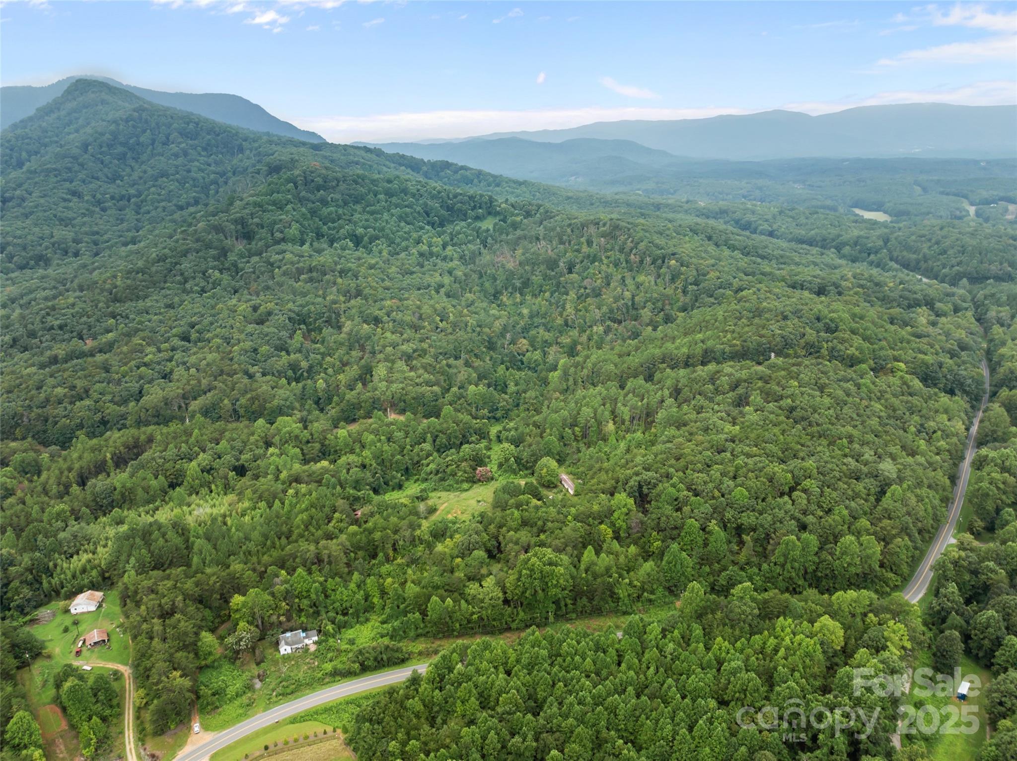 823 Silver Creek Road Mill Spring, NC 28756 - Photo 2 of 16