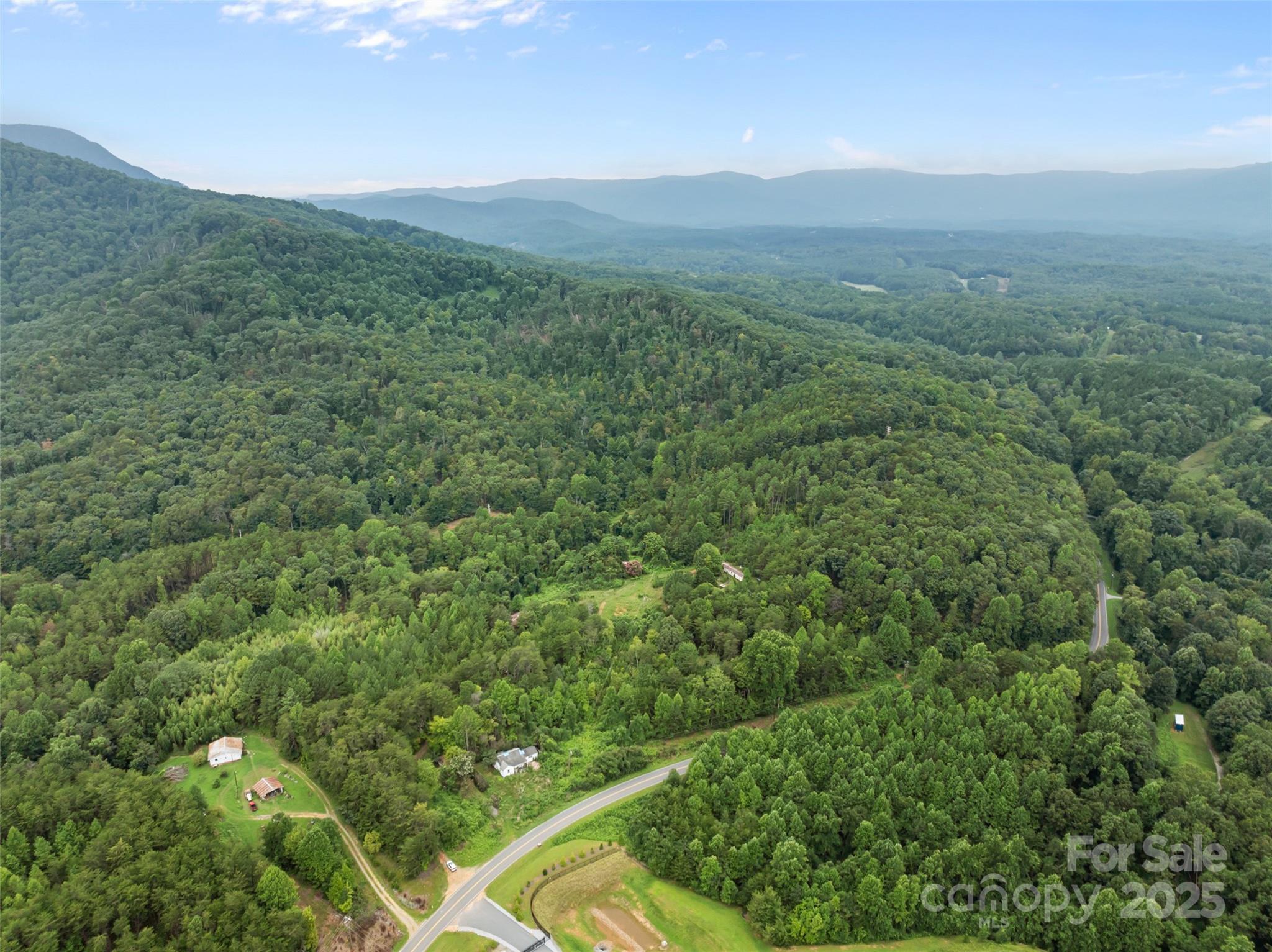 823 Silver Creek Road Mill Spring, NC 28756 - Photo 3 of 16