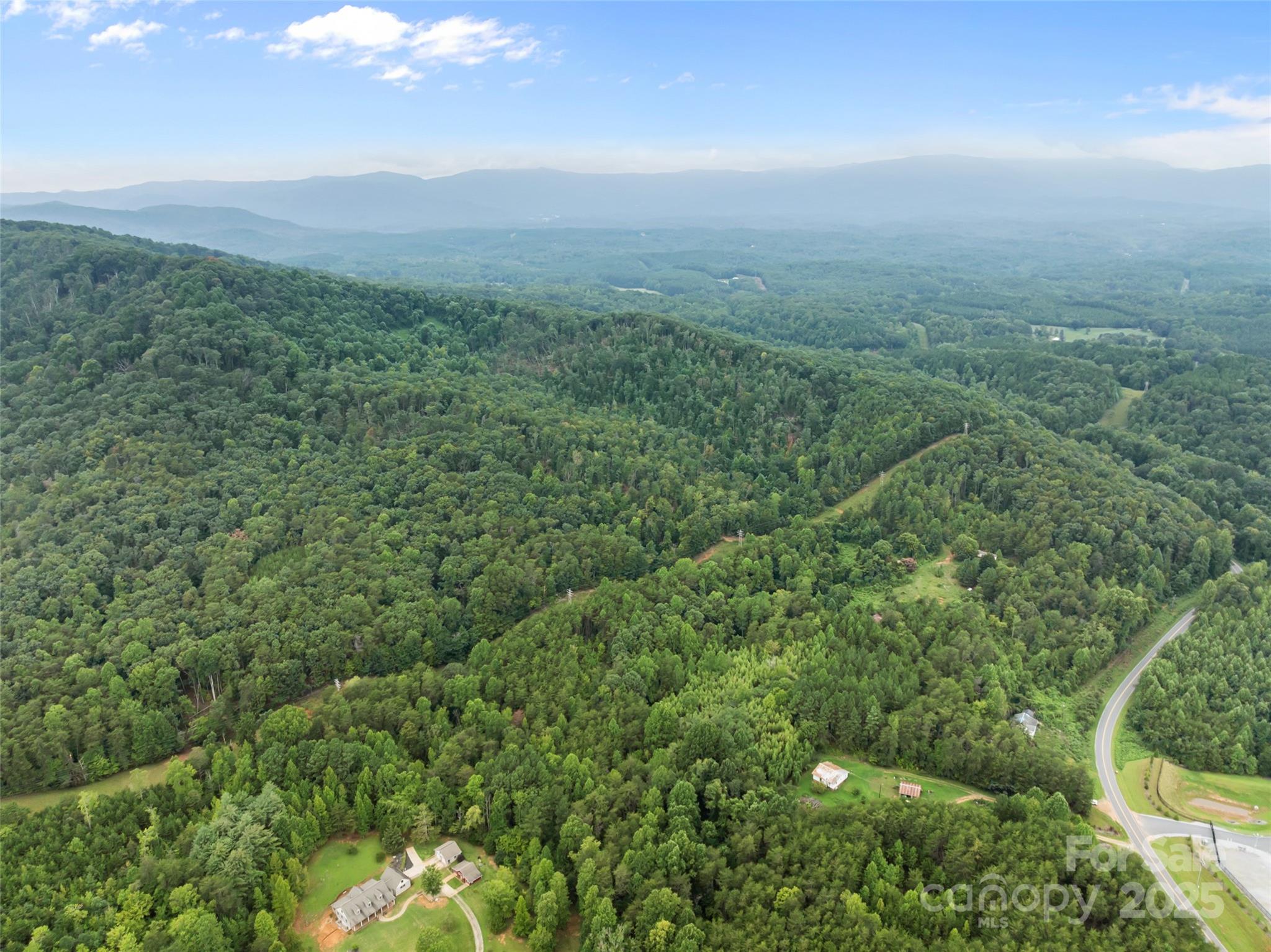 823 Silver Creek Road Mill Spring, NC 28756 - Photo 4 of 16