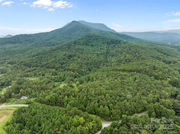 $527,000 | 823 Silver Creek Road, Mill Spring, NC 28756