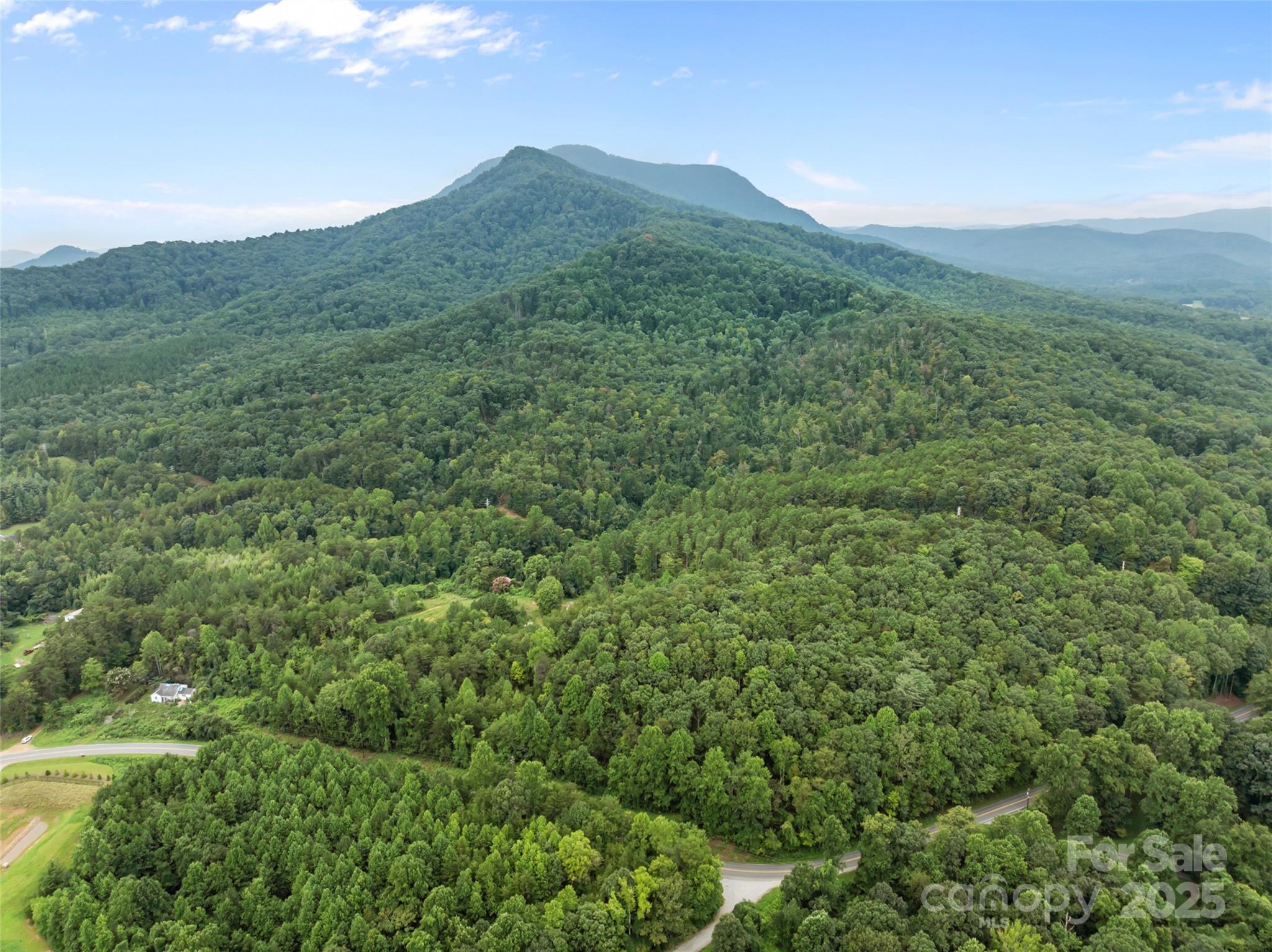 823 Silver Creek Road Mill Spring, NC 28756 - Photo 5 of 16