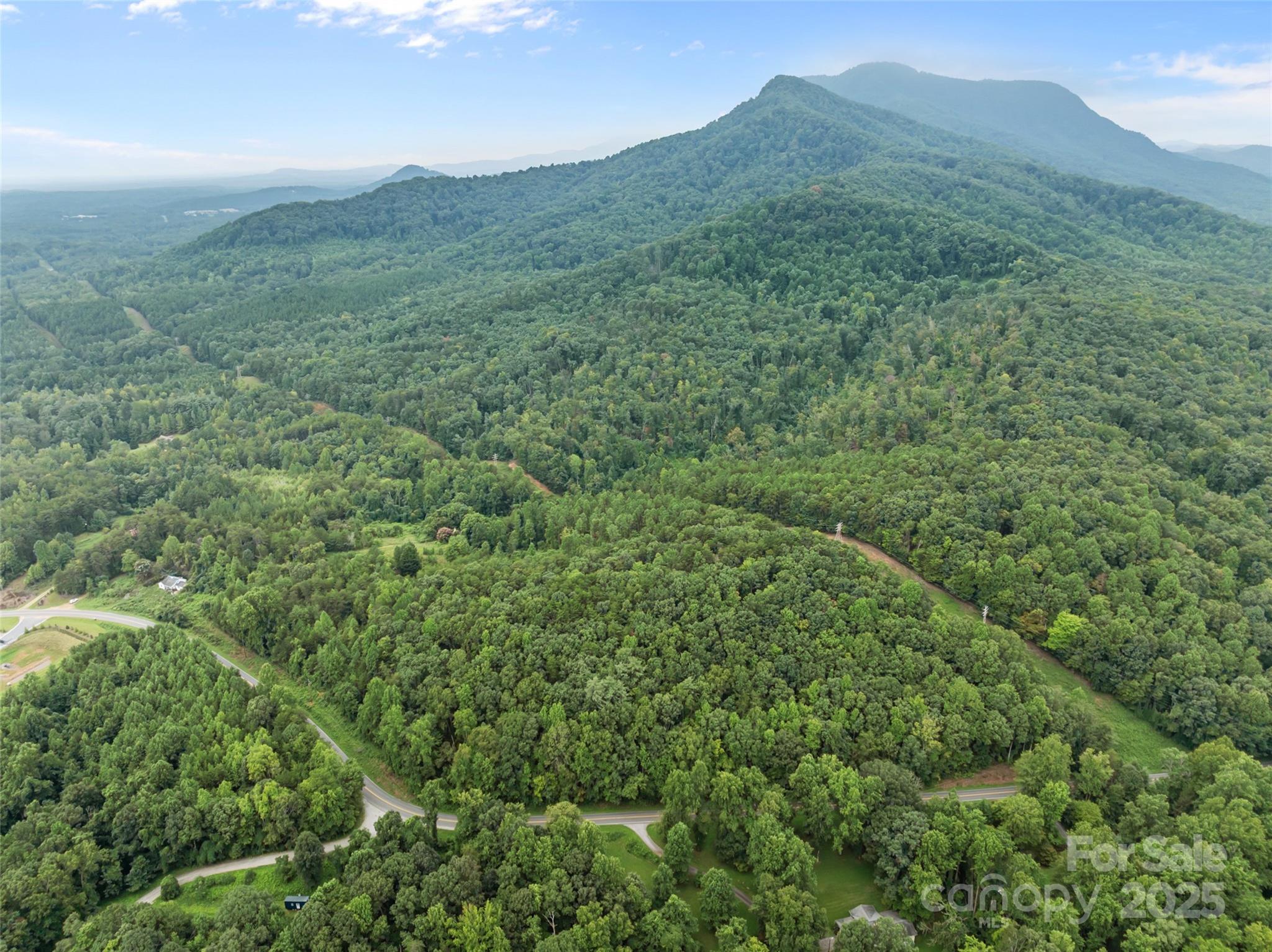 823 Silver Creek Road Mill Spring, NC 28756 - Photo 6 of 16