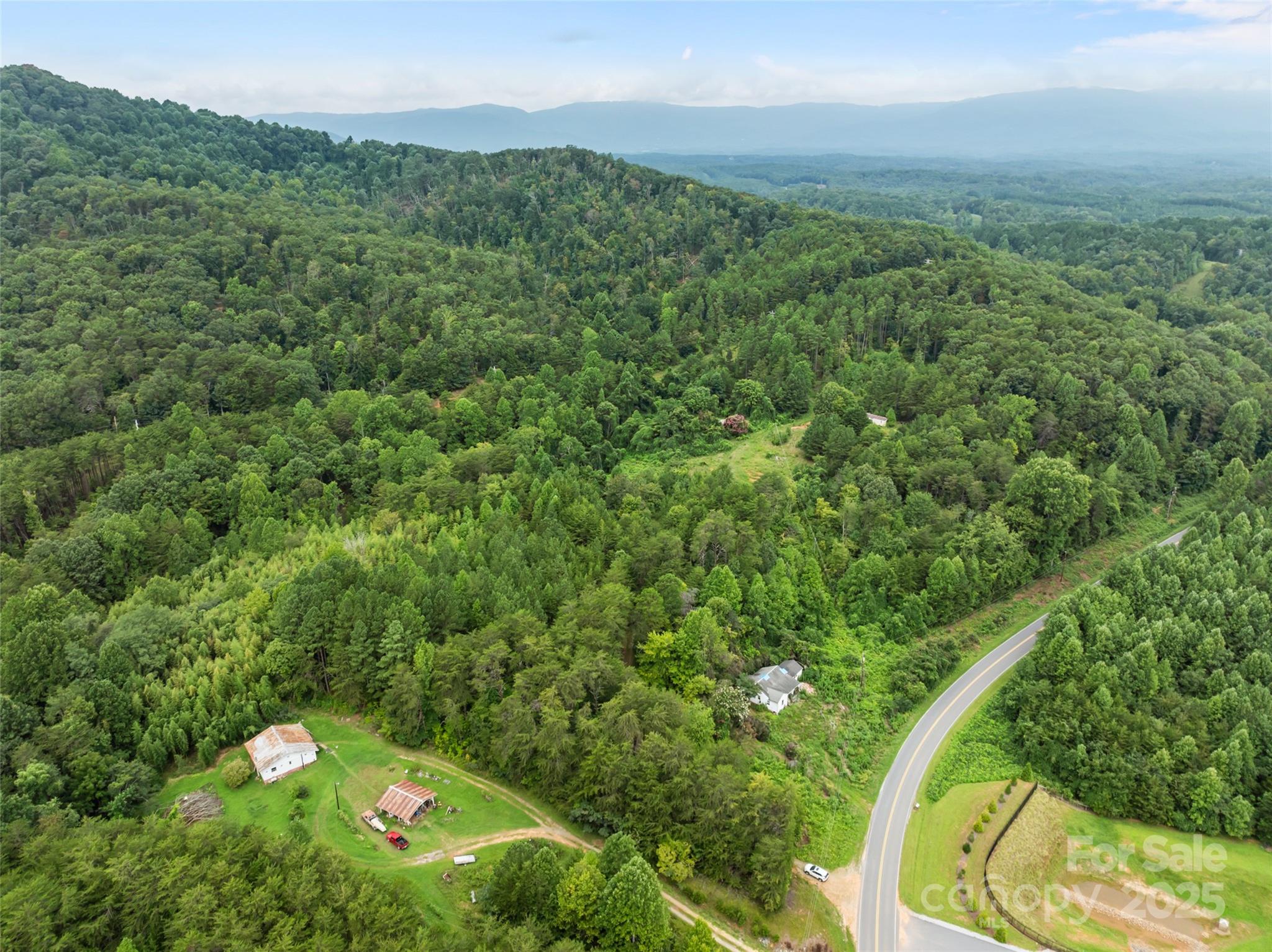 823 Silver Creek Road Mill Spring, NC 28756 - Photo 7 of 16