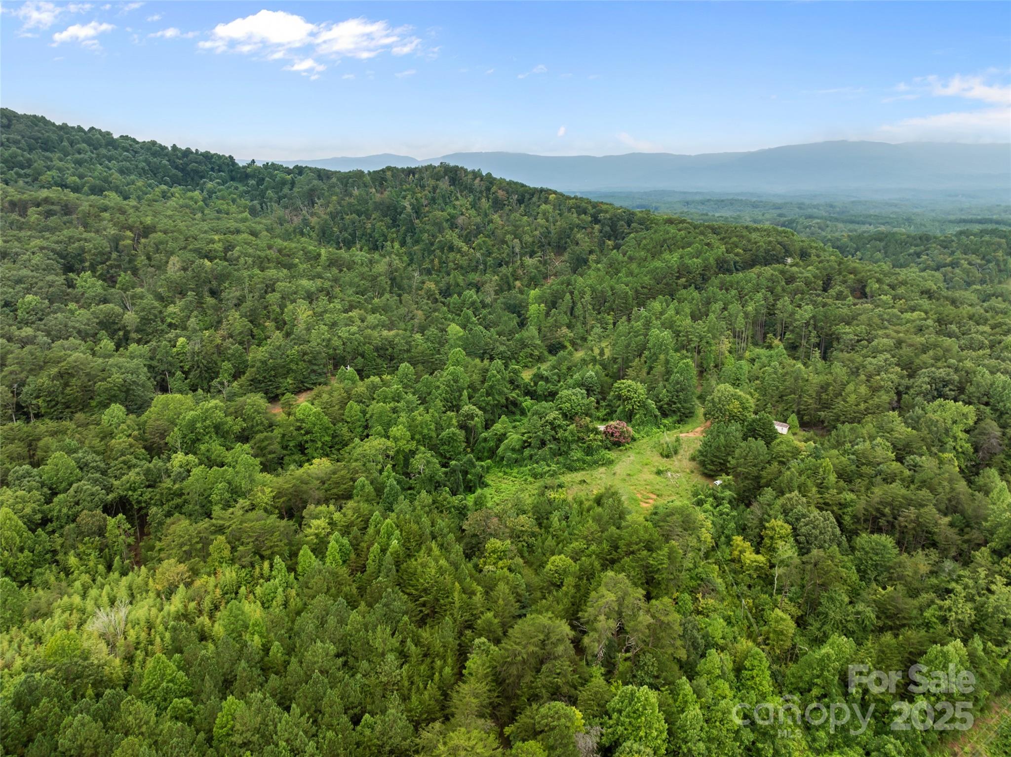 823 Silver Creek Road Mill Spring, NC 28756 - Photo 8 of 16