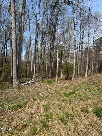 a view of a field with trees in the background