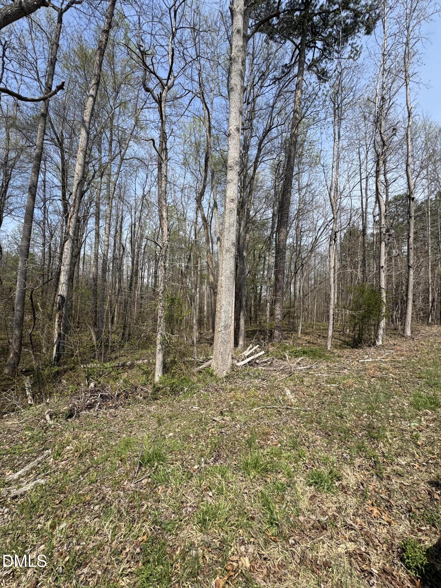 0 Hurdle Mills Road Hurdle Mills, NC 27541 - Photo 4 of 7 a backyard of a house with lots of green space
