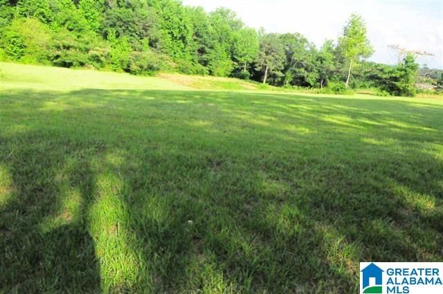 7835 Bagley Road, Unit 3 Dora, AL 35062 - Photo 3 of 10