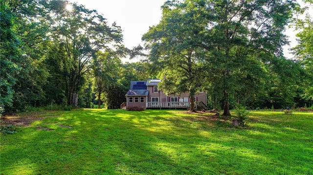 a view of a tree in a yard