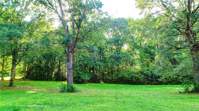a view of a grassy field with trees in the background