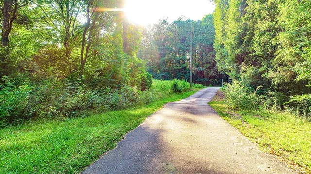 a view of a yard with plants and large trees