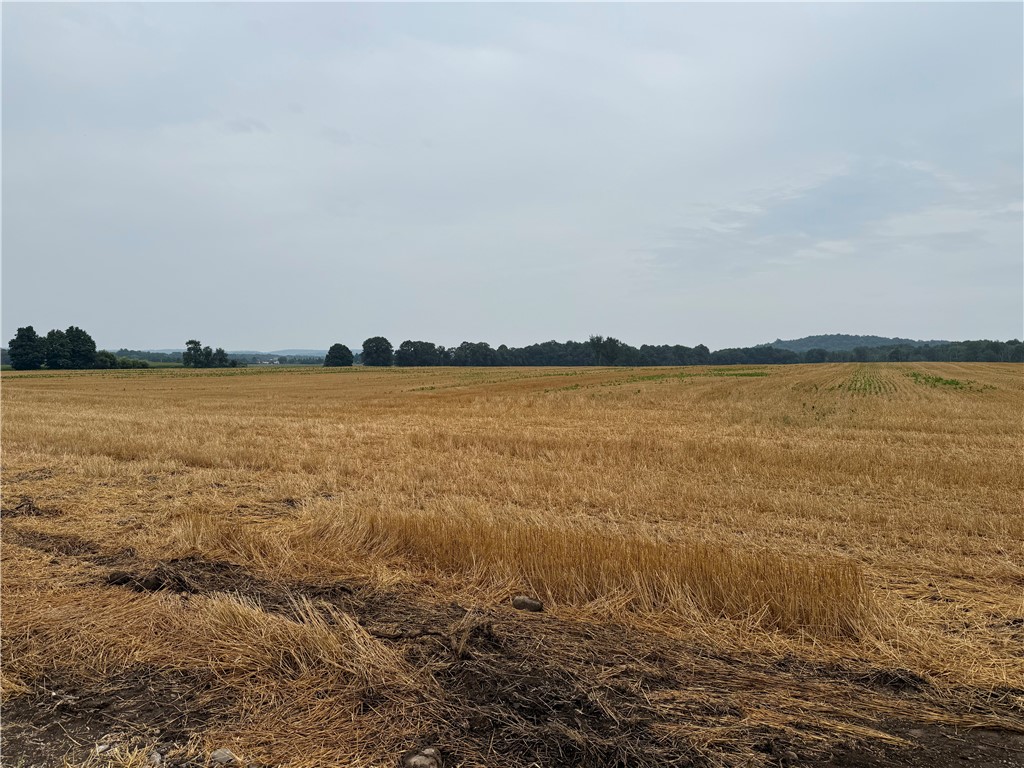 Lot 4 Taylor Road Mendon, NY 14506 - Photo 3 of 9