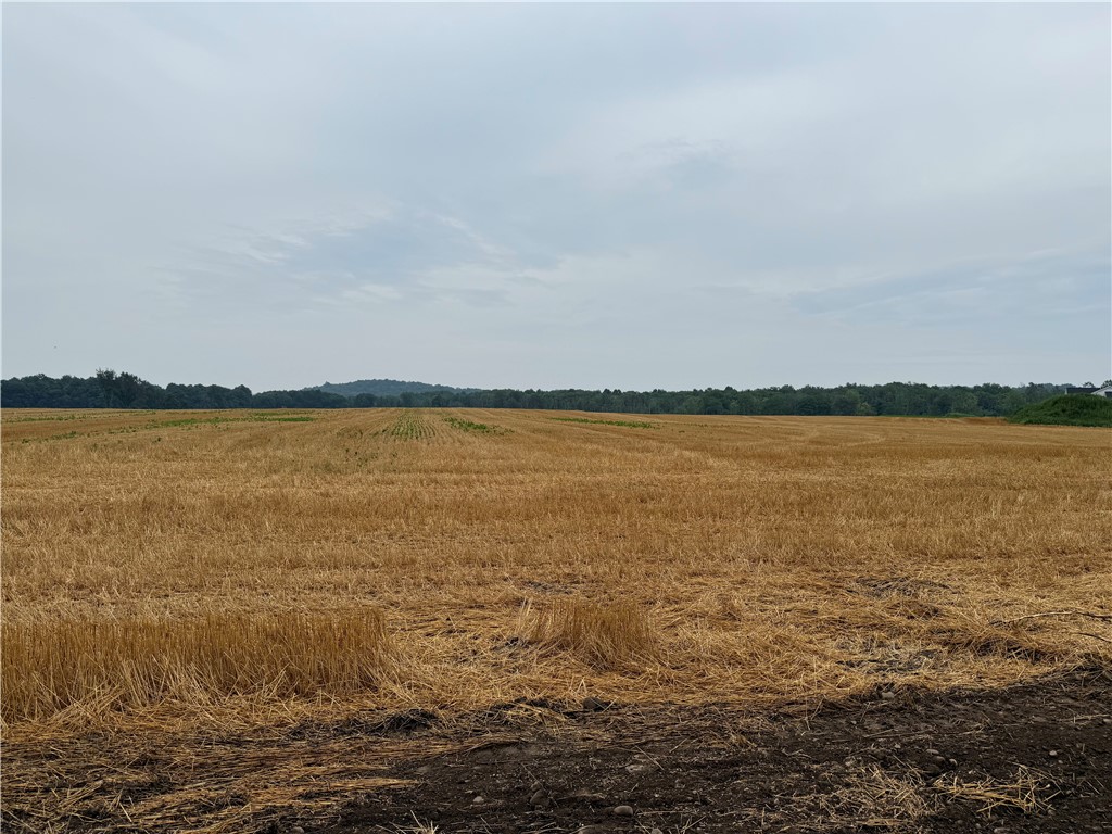 Lot 4 Taylor Road Mendon, NY 14506 - Photo 4 of 9