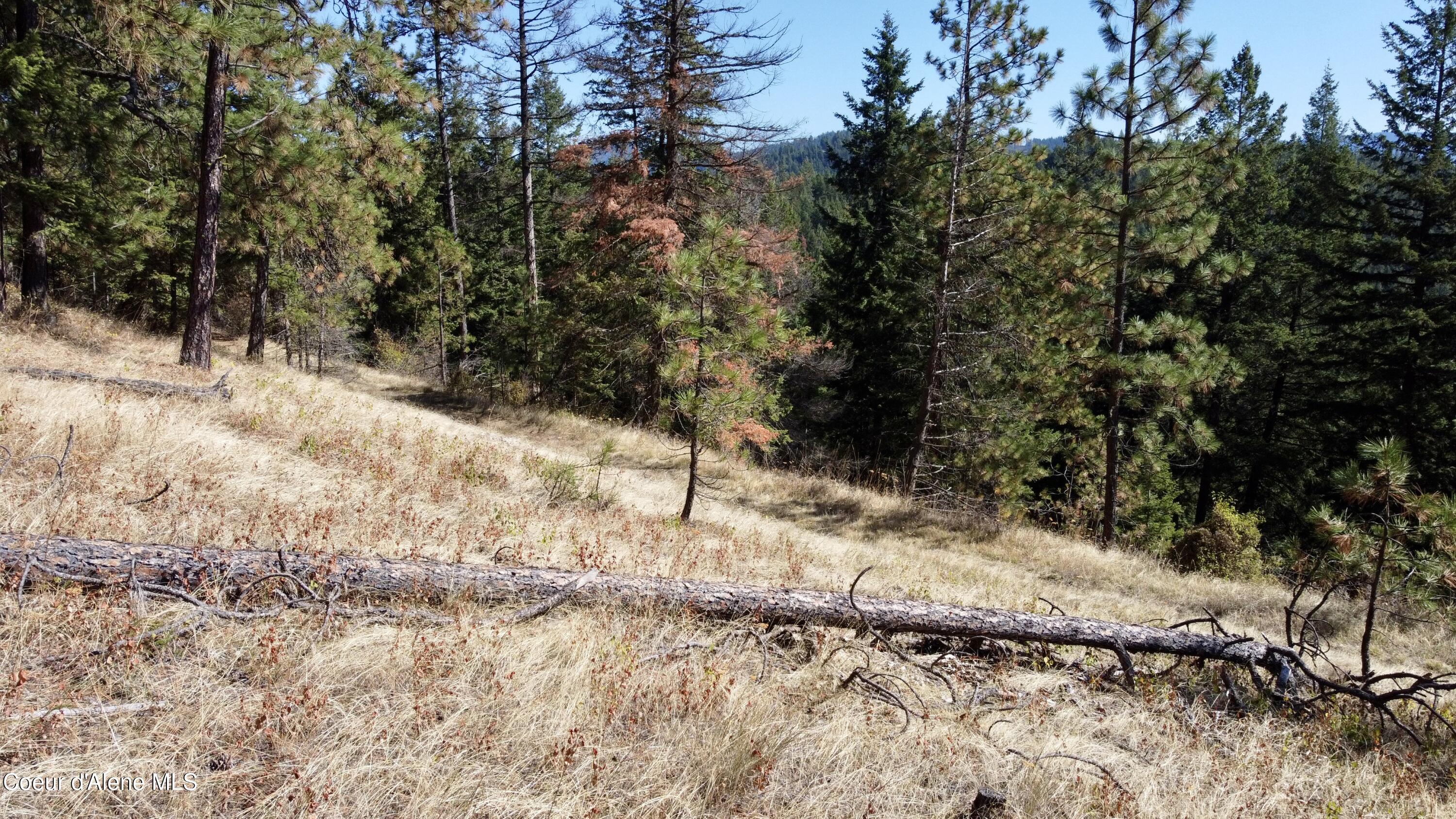 Nna Parcel South Cederbloom Road Coeur D'Alene, ID 83814 - Photo 18 of 23 18