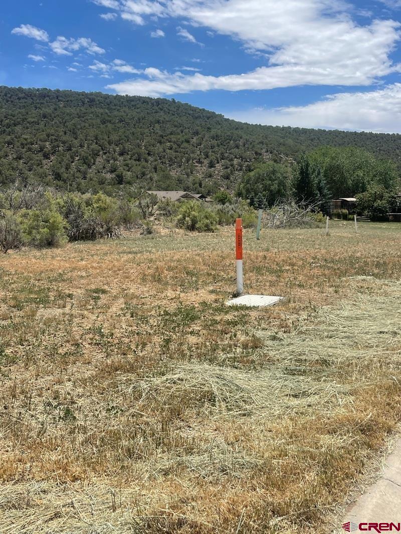 745 Southeast Pinyon Street Cedaredge, CO 81413 - Photo 3 of 5 a view of a field with an outdoor space