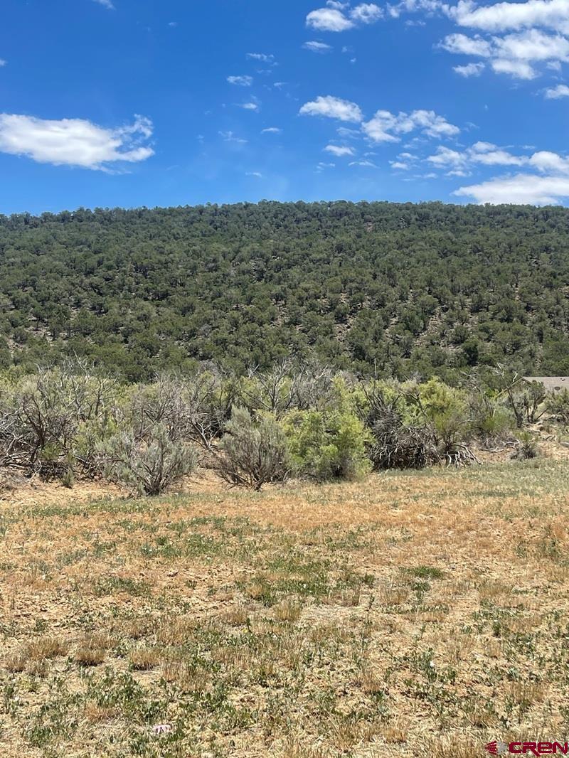 745 Southeast Pinyon Street Cedaredge, CO 81413 - Photo 5 of 5 a view of a city