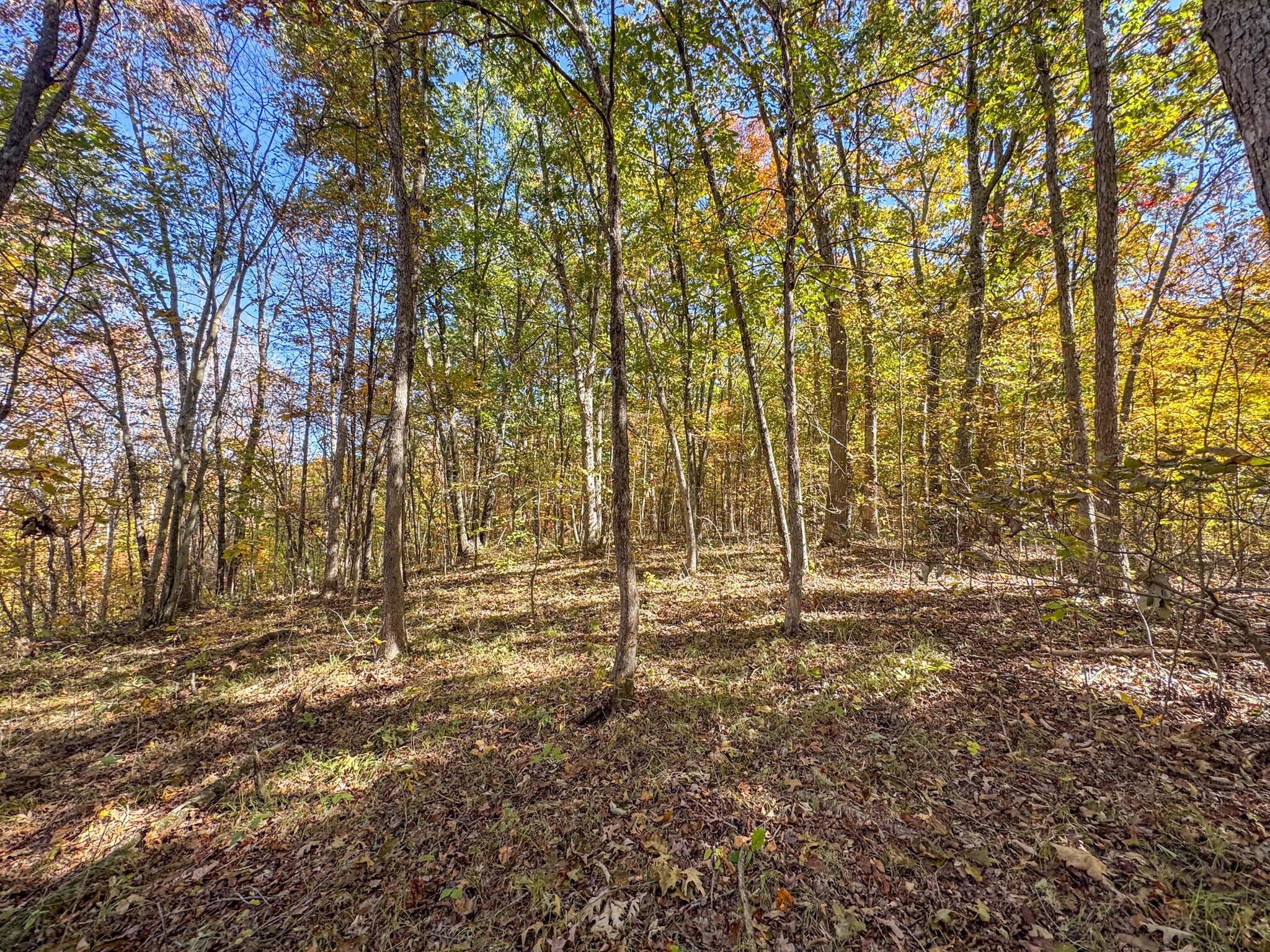 0 Dixon Run Road Thurman, OH 45685 - Photo 19 of 43 Dixon Run -16