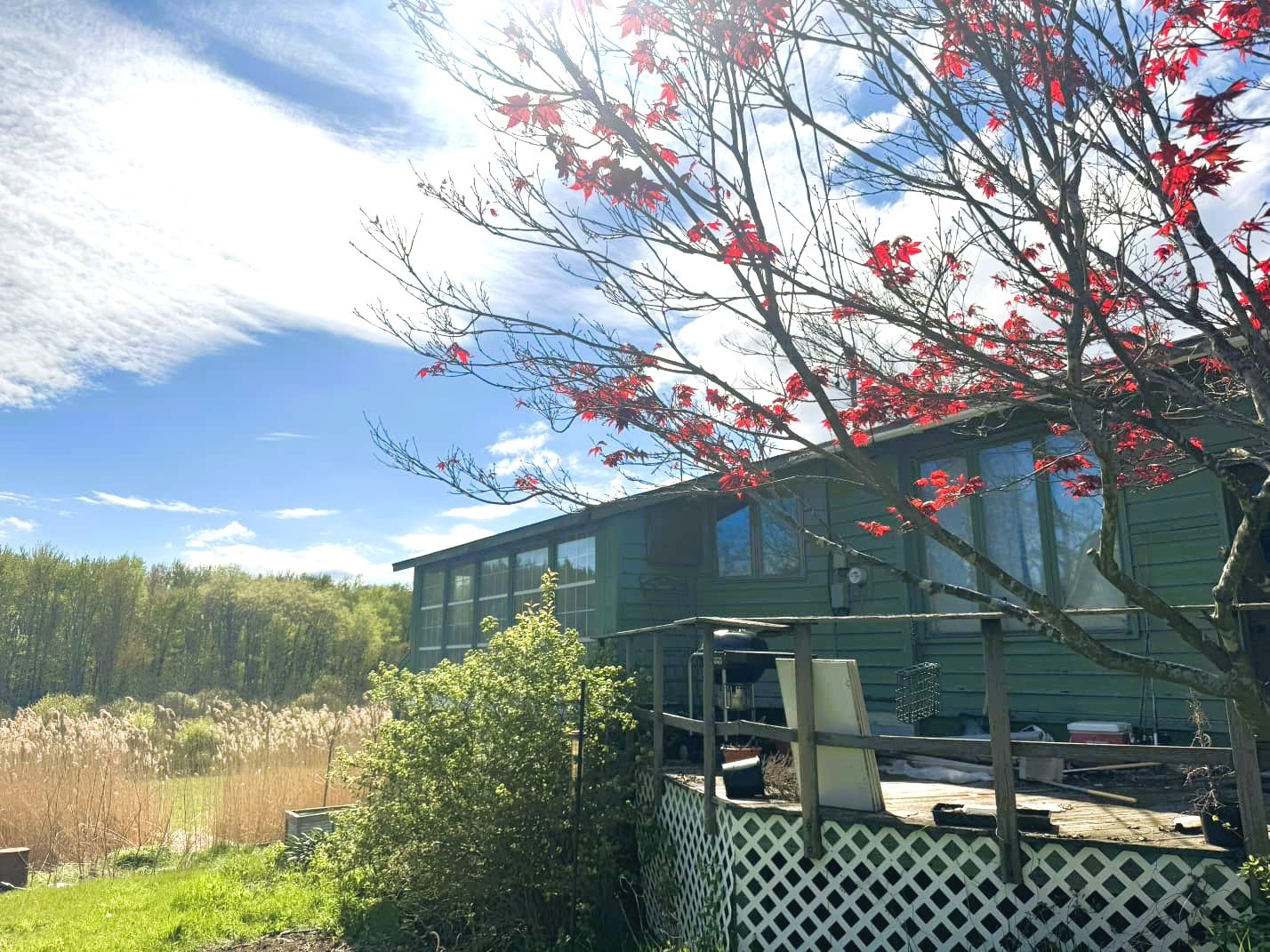 293 Toad Harbor Road West Monroe, NY 13167 - Photo 5 of 14