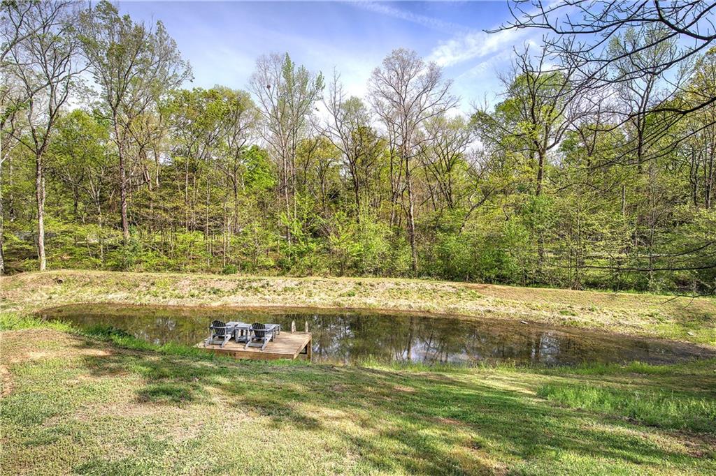 613 Hall Station Road Northwest Kingston, GA 30145 - Photo 43 of 101