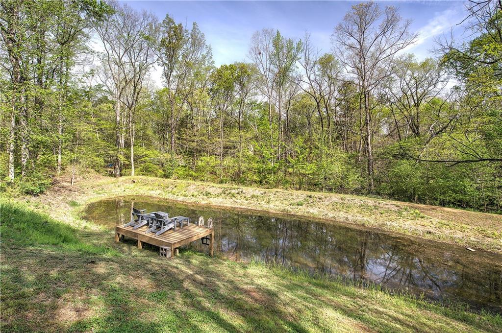 613 Hall Station Road Northwest Kingston, GA 30145 - Photo 44 of 101