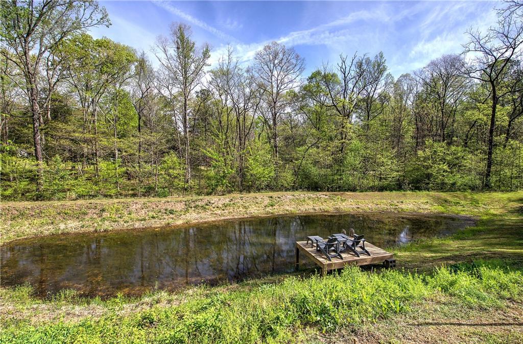 613 Hall Station Road Northwest Kingston, GA 30145 - Photo 46 of 101