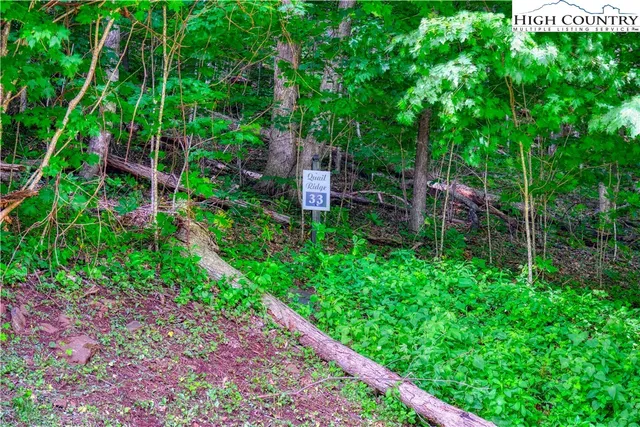 $34,000 | Lot 33 Quail Ridge Drive, Fleetwood, NC 28626